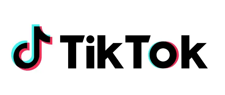 Using AI to determine if a TikTok profile picture is a selfie? ITG Global Filter's one-click recognition is more efficient.